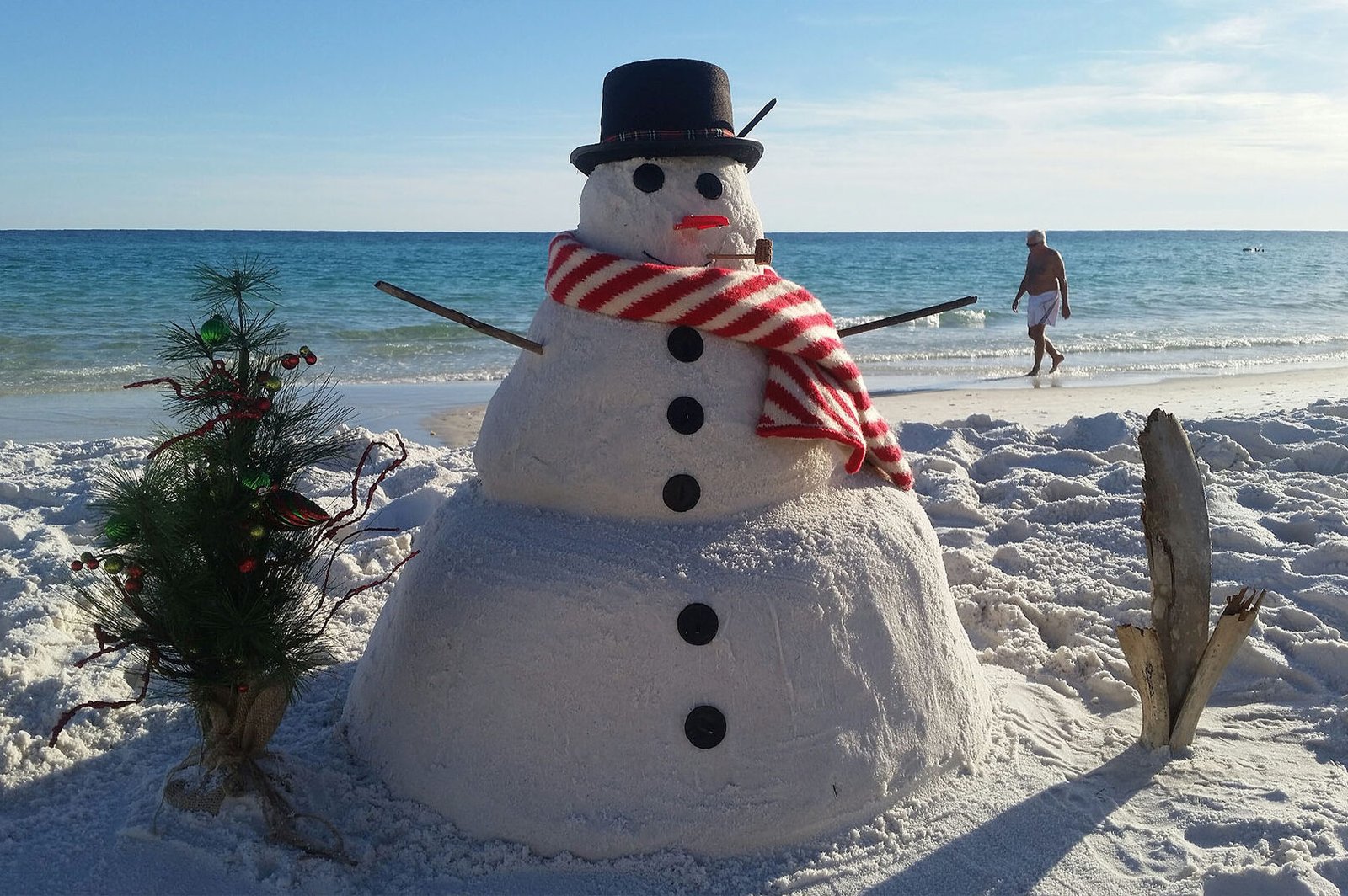 Winter in Florida
